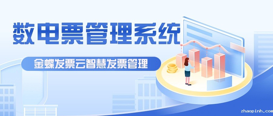 数电票